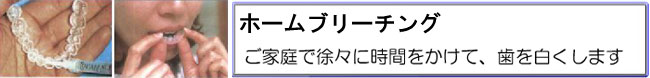 ホームブリーチング